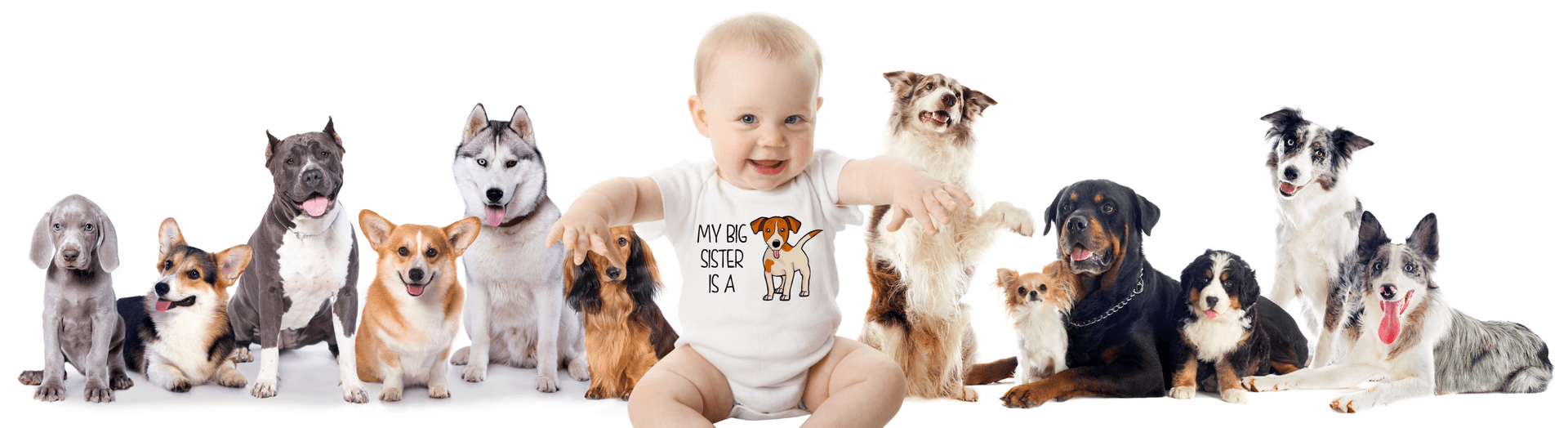 Banner for DogFanClub.net